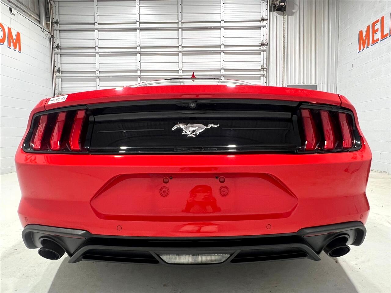 Ford Mustang EcoBoost Coupe 2021 Ford Mustang EcoBoost Coupe 2021