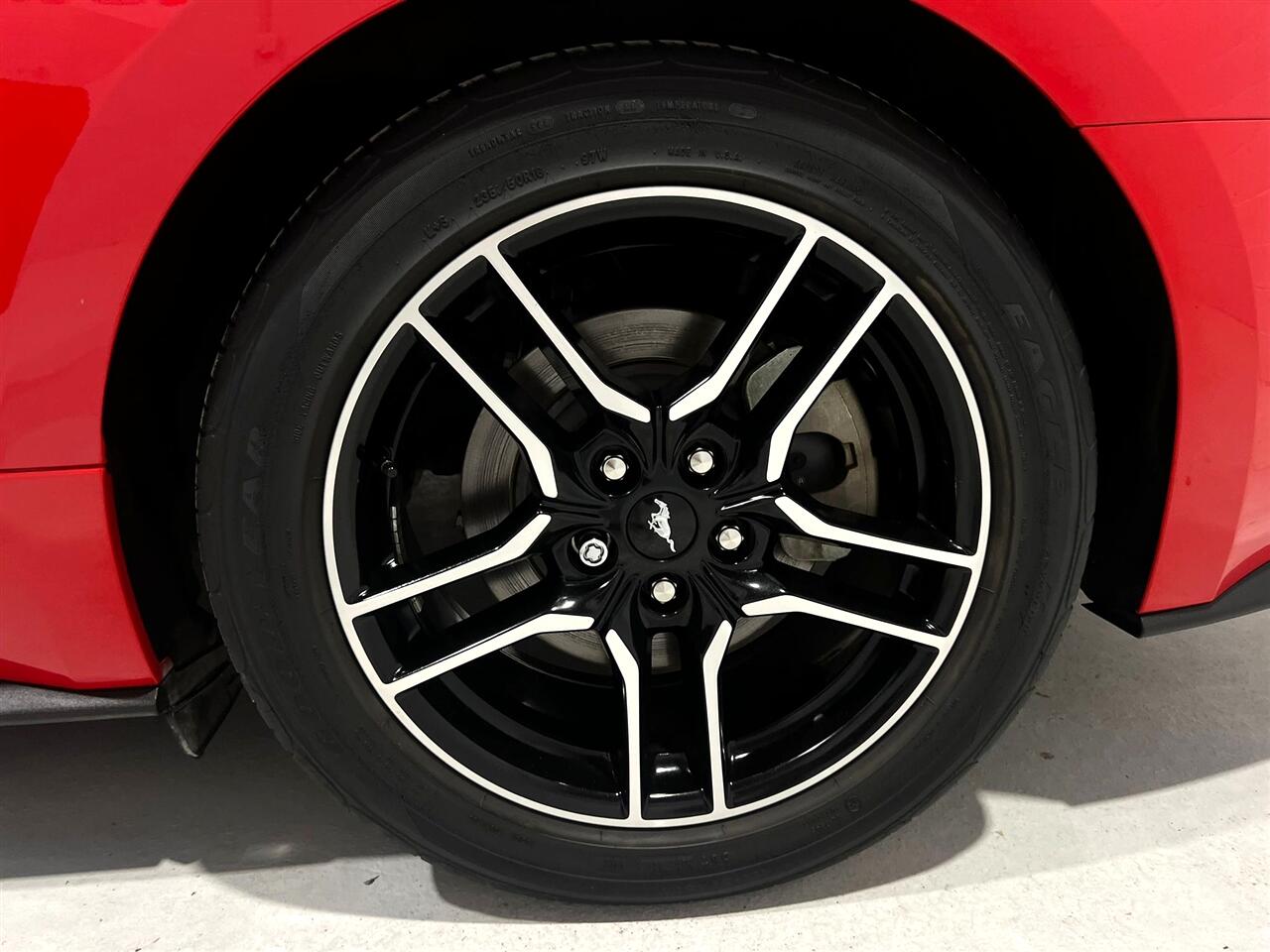 Ford Mustang EcoBoost Coupe 2021 Ford Mustang EcoBoost Coupe 2021