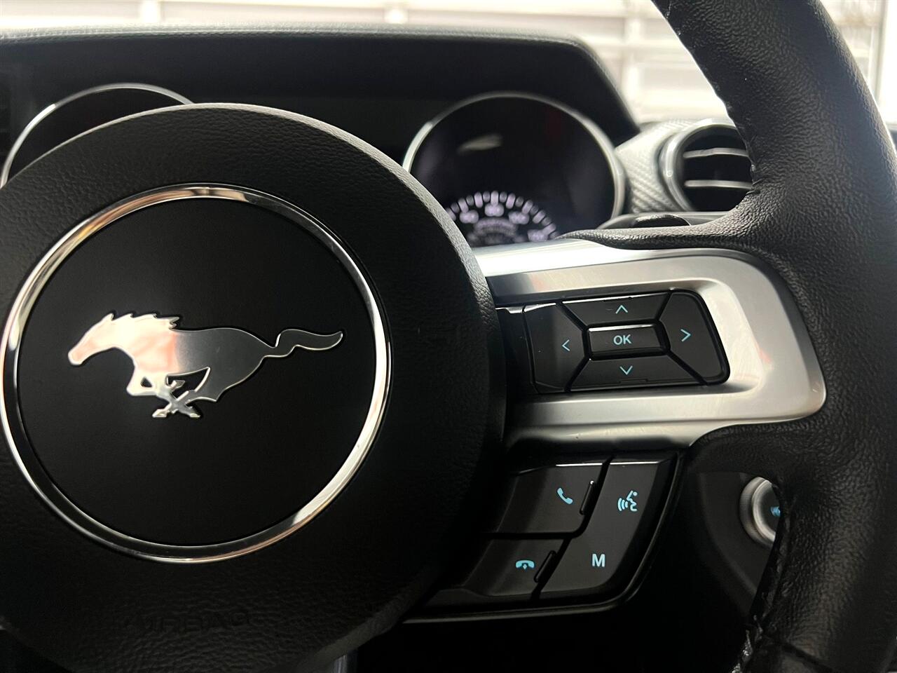Ford Mustang EcoBoost Coupe 2021 Ford Mustang EcoBoost Coupe 2021