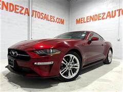 2019 Ford Mustang  2019 Ford Mustang