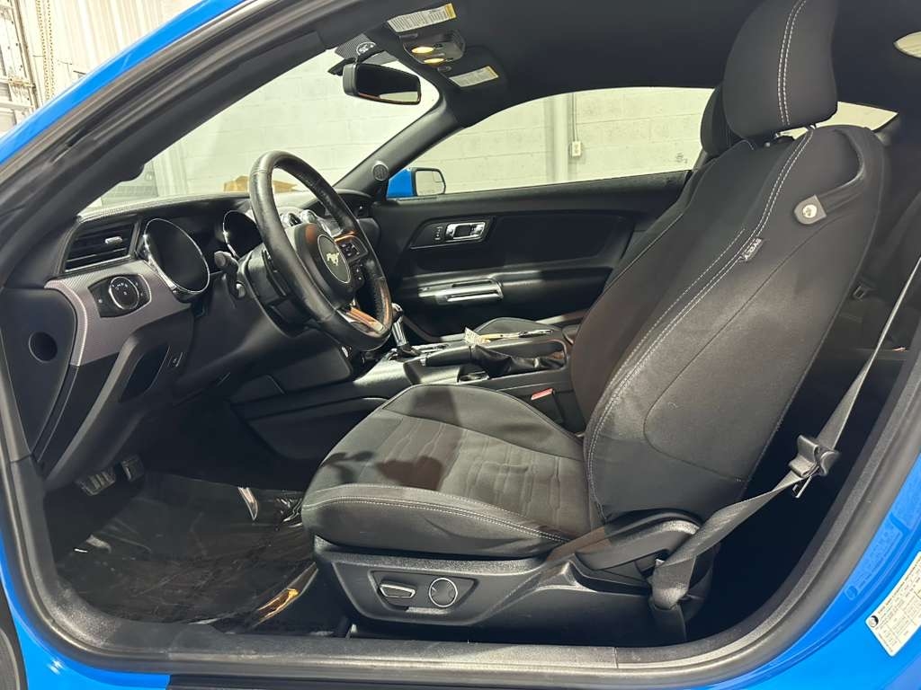 Ford Mustang GT Coupe 2017 Ford Mustang GT Coupe 2017