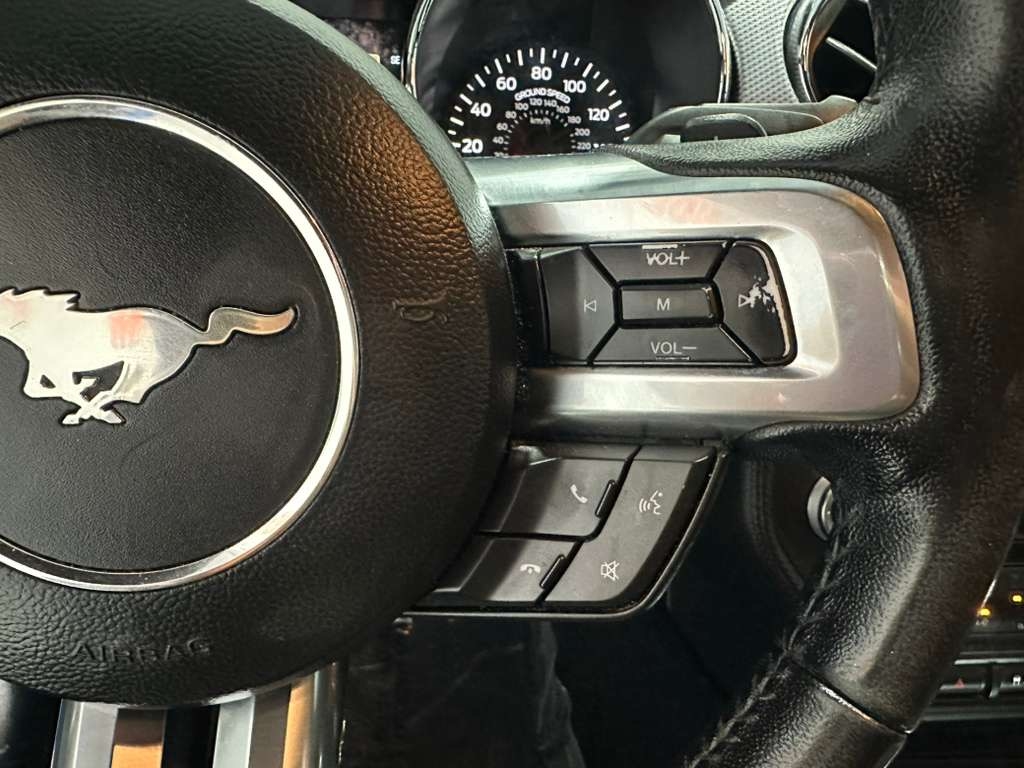 Ford Mustang GT Coupe 2017 Ford Mustang GT Coupe 2017