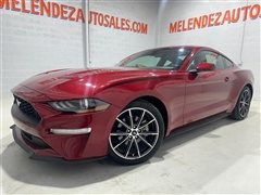 2019 Ford Mustang 