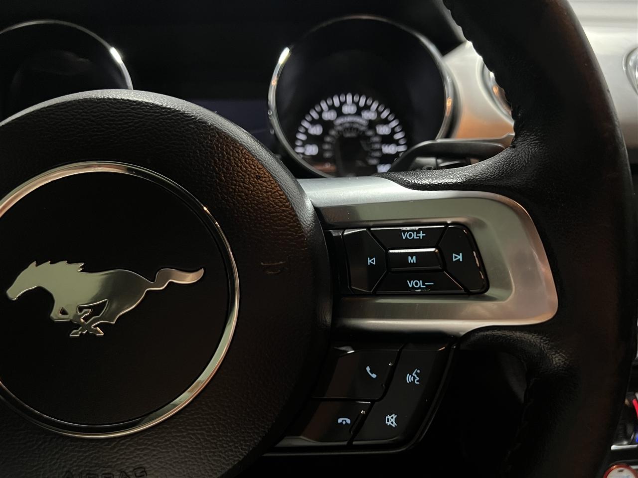 Ford Mustang GT Coupe 2017