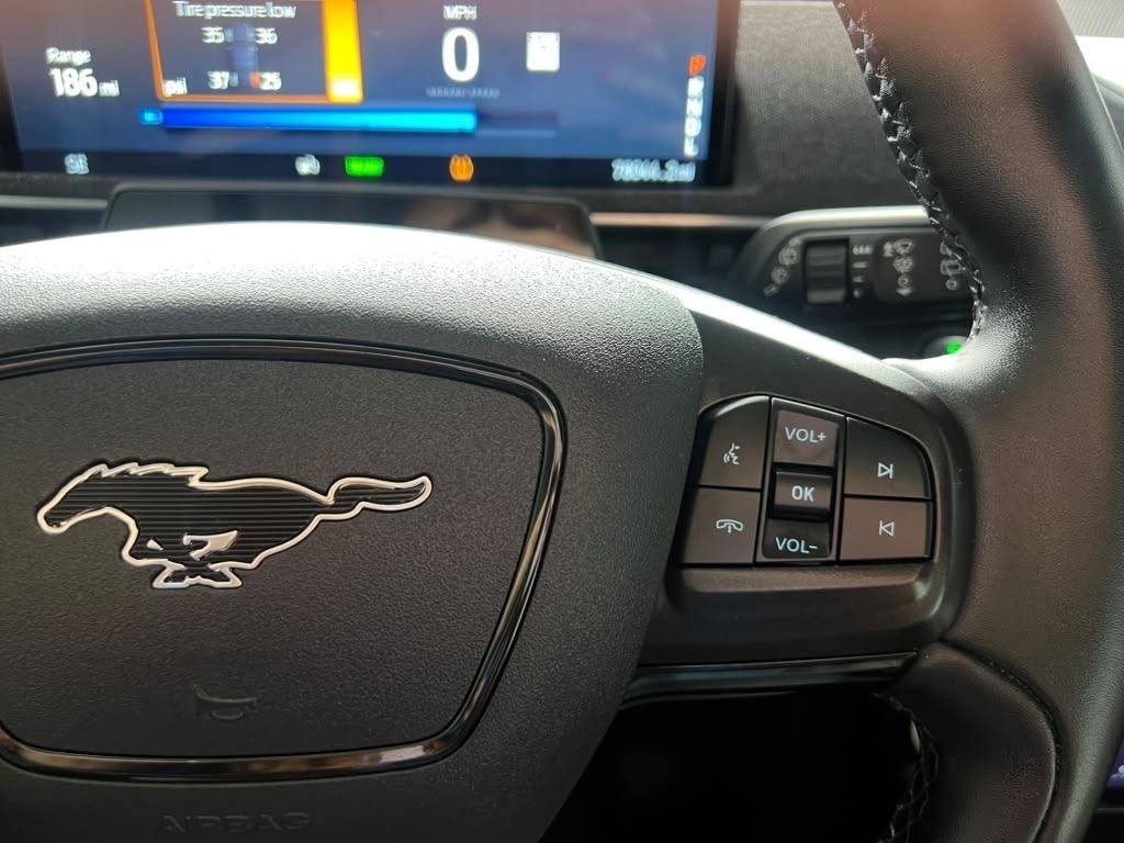 Ford Mustang Mach-E Premium AWD 2021