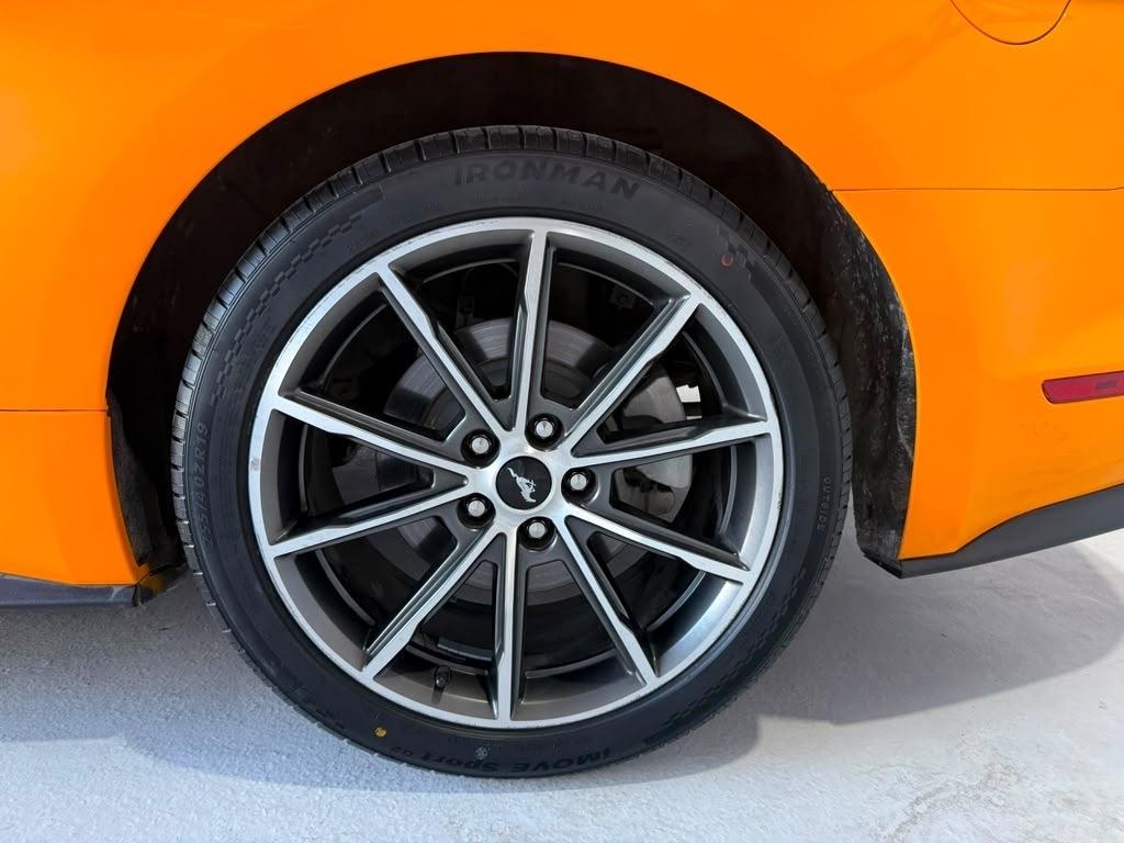 Ford Mustang EcoBoost Premium Coupe 2019