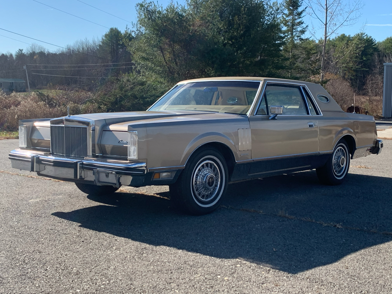 Used 1983 Lincoln Mark VI 2dr Coupe Bill Blass for Sale in Wiscasset ME