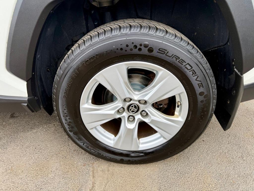 Toyota RAV4 XLE AWD (Natl) 2019