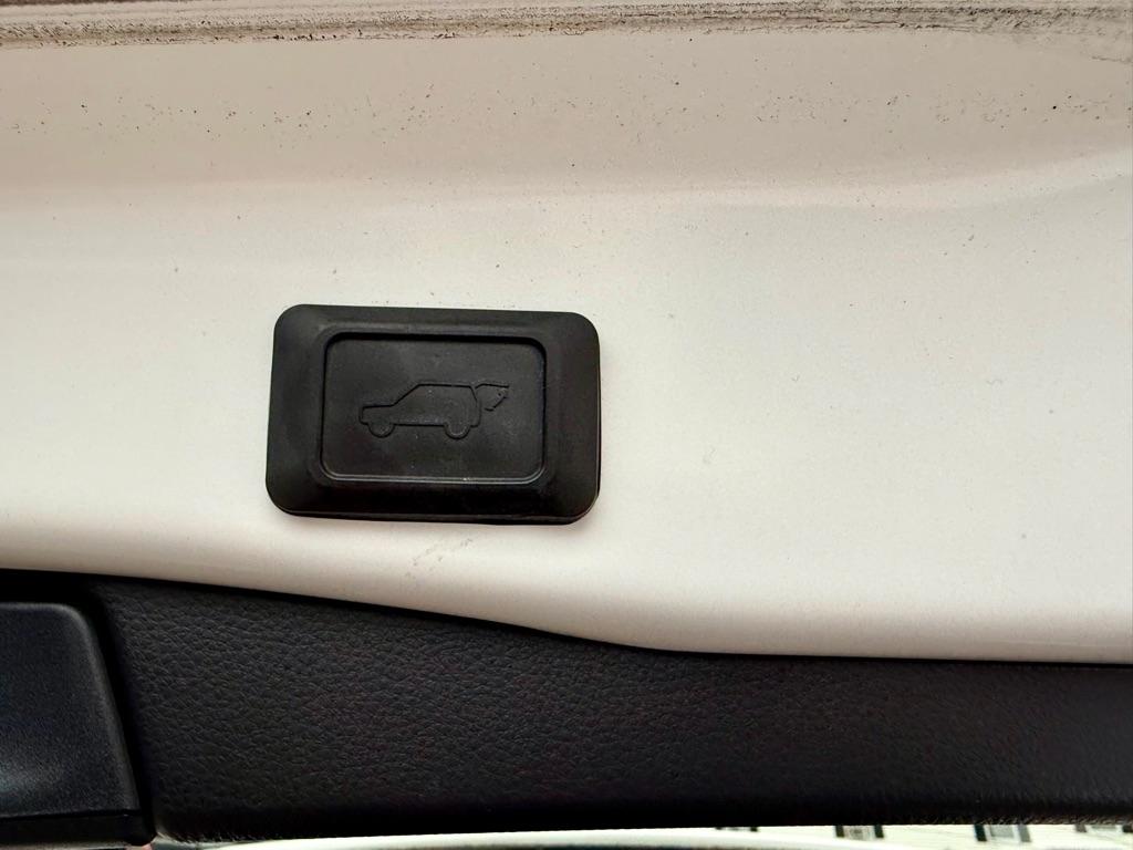 Toyota RAV4 XLE AWD (Natl) 2019