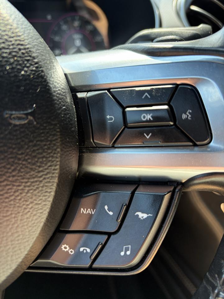 Ford Mustang GT Premium Coupe 2021