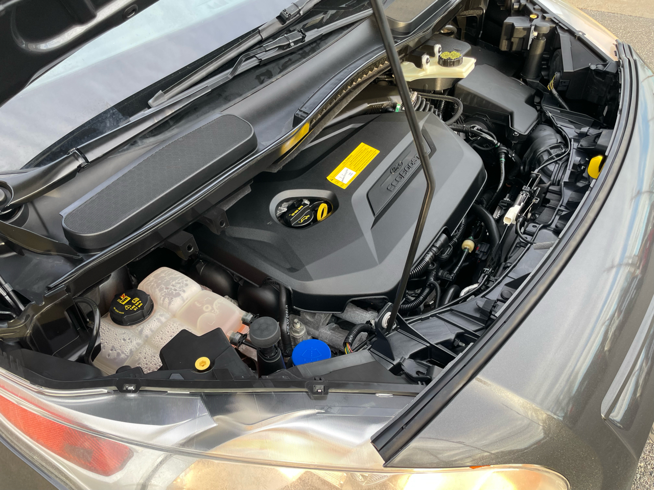 Ford Transit Connect Wagon XLT 2016