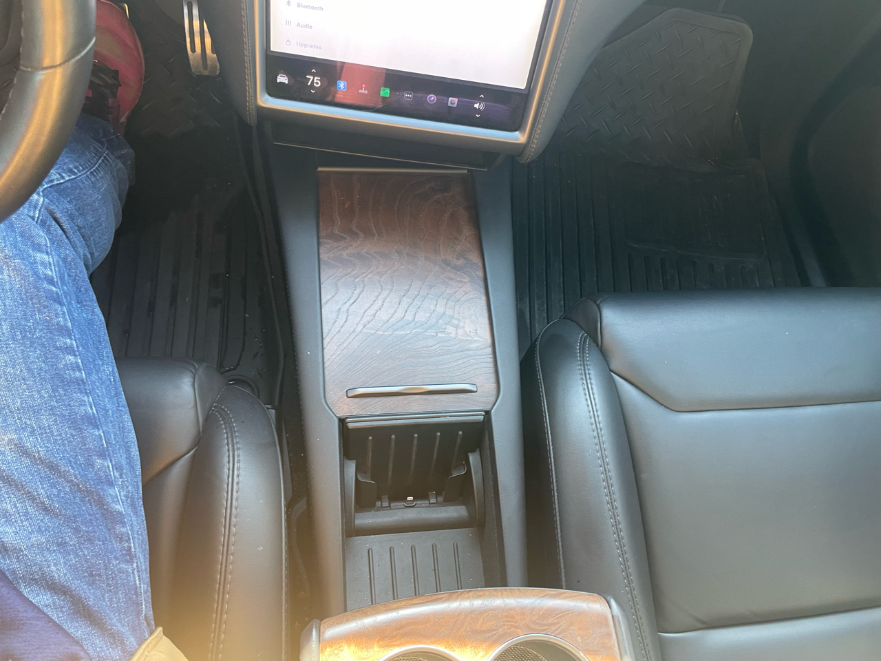 Tesla Model X 100D AWD 2019