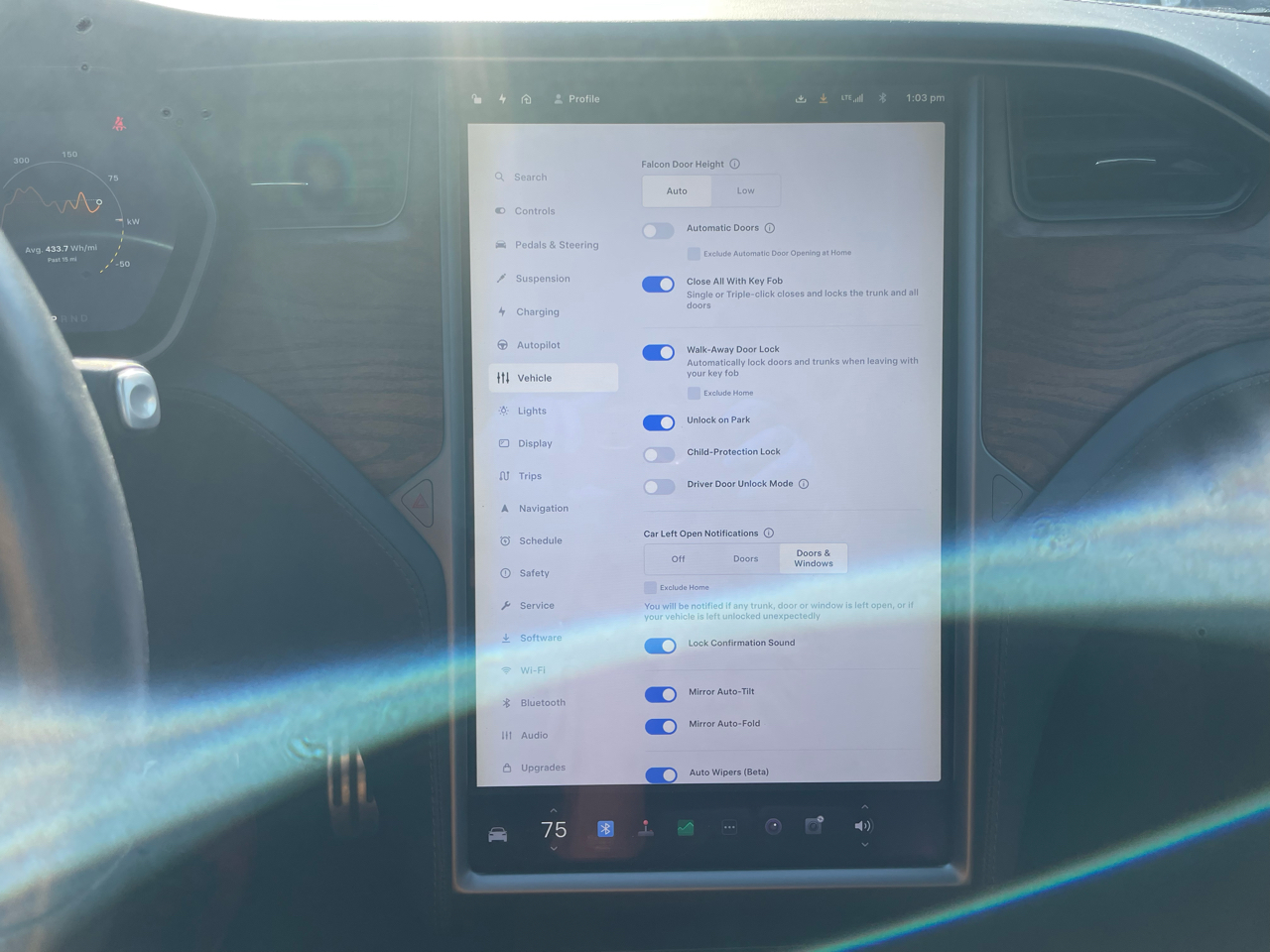 Tesla Model X 100D AWD 2019