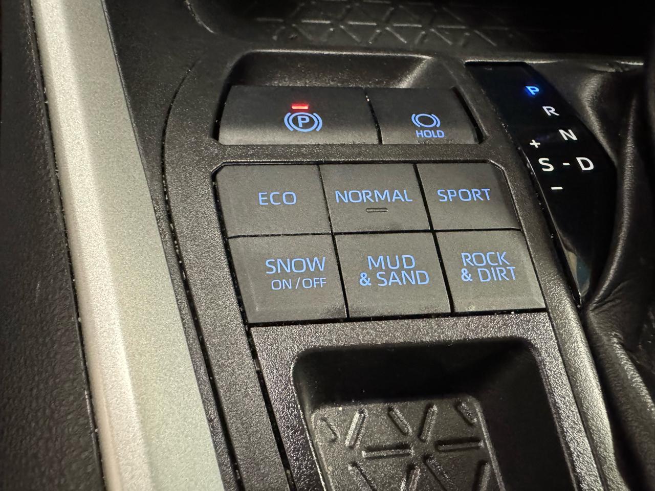 Toyota RAV4 XLE AWD (Natl) 2021