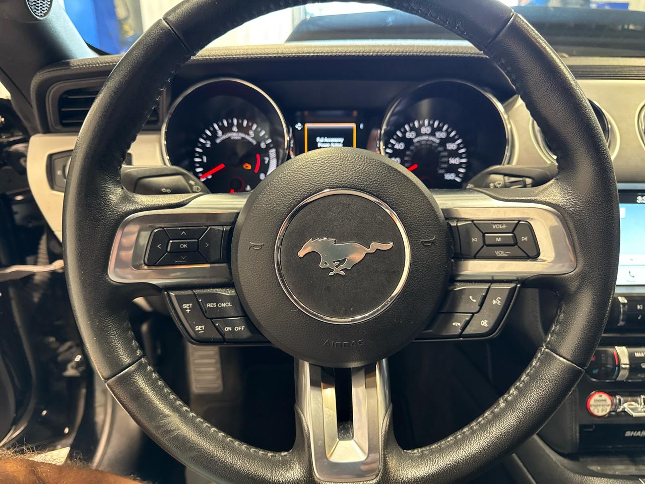 Ford Mustang GT Fastback 2017