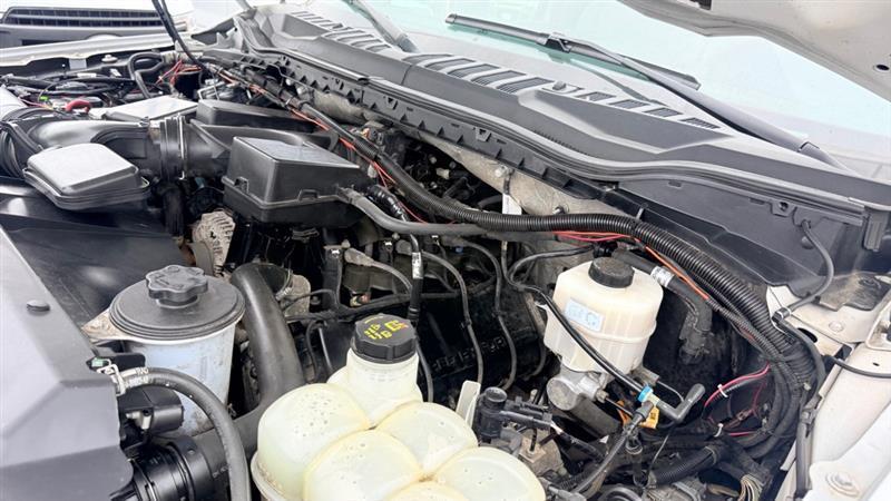 Ford F-350 SD Platinum Crew Cab 4WD 2020