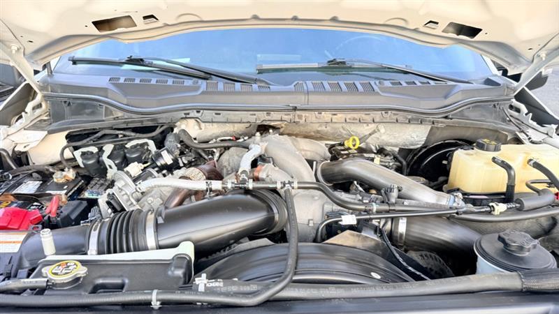 Ford F-250 SD Platinum Crew Cab 4WD 2022