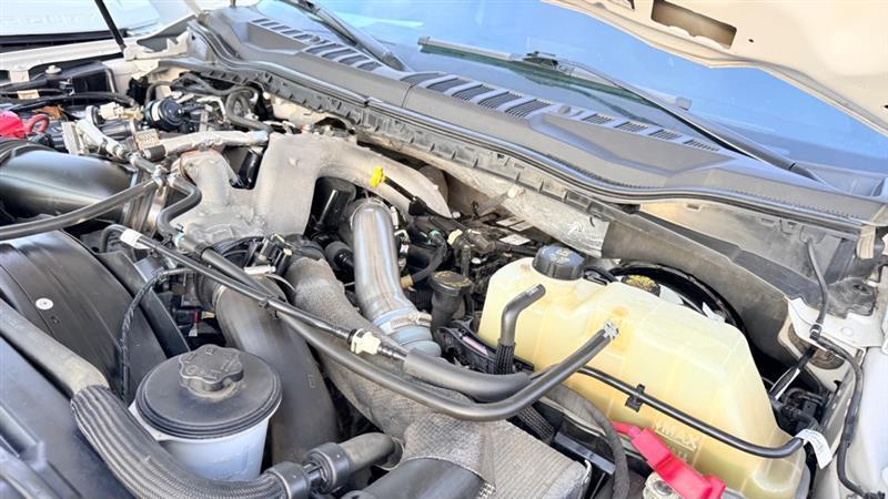 Ford F-250 SD Platinum Crew Cab 4WD 2022