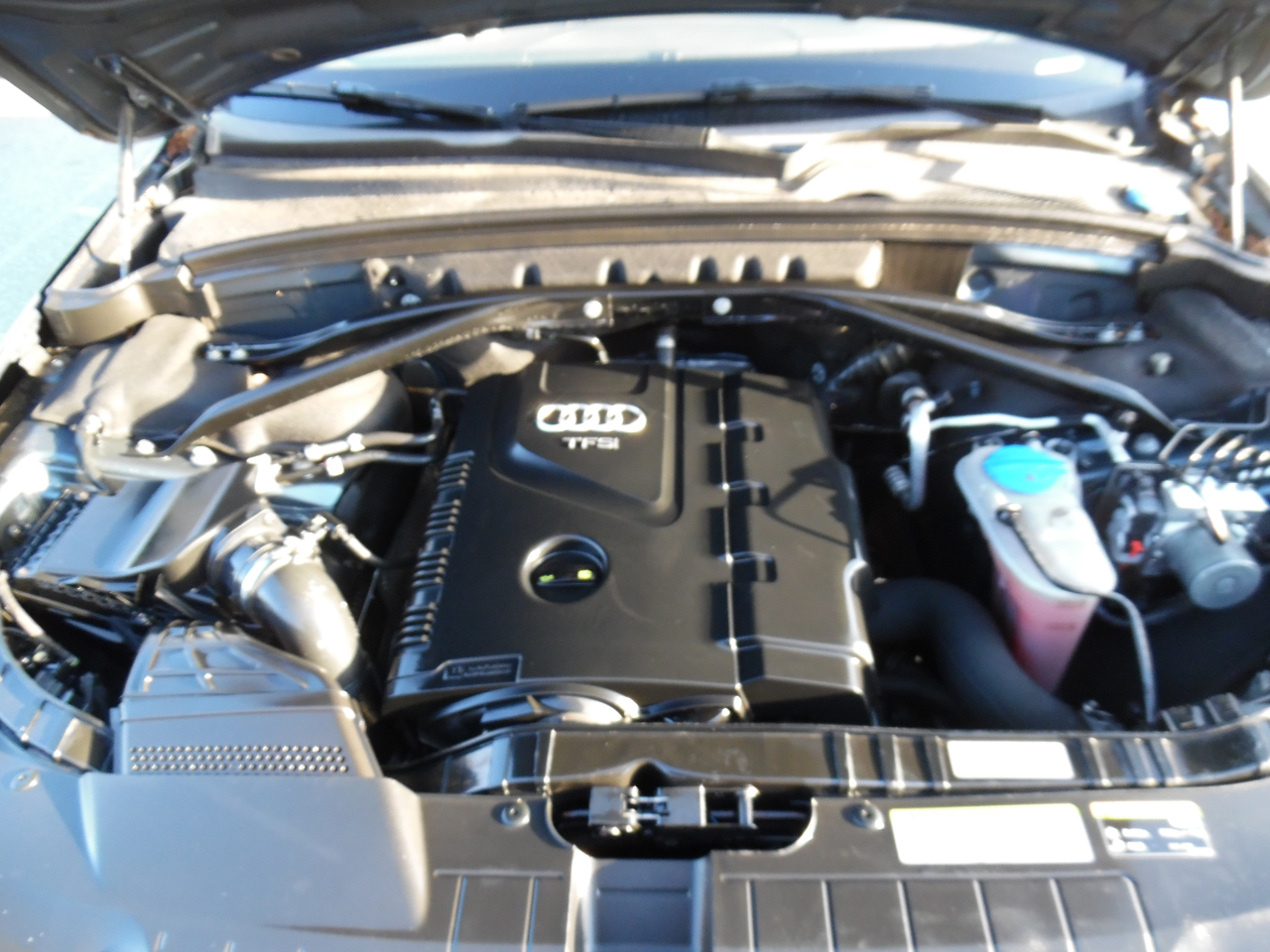 Audi Q5 2.0 TFSI Premium Plus 2017