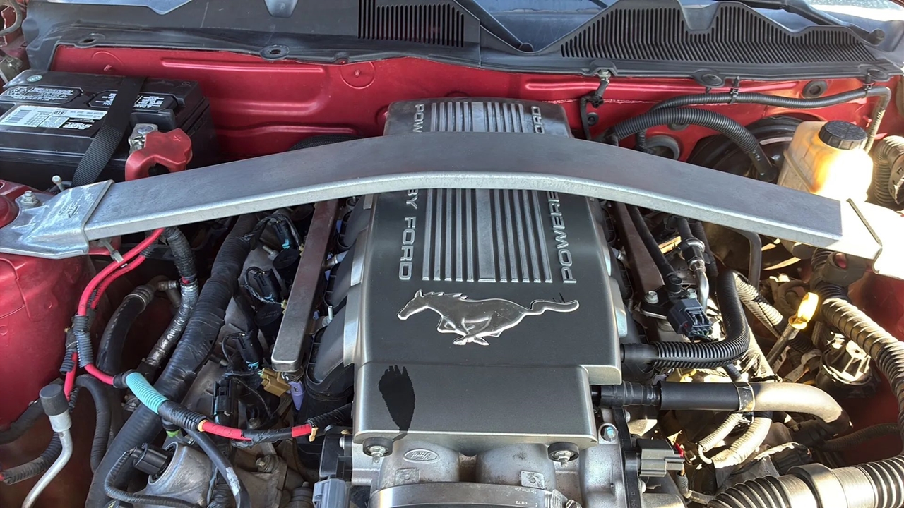 Ford Mustang  2010 Ford Mustang  2010