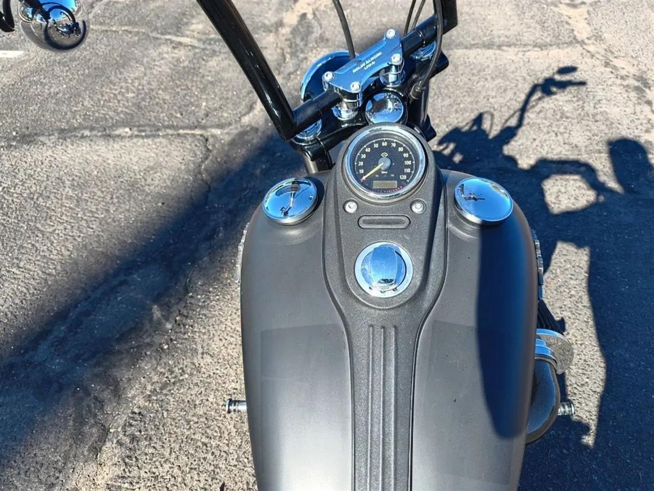 Harley-Davidson FXDB103  2015