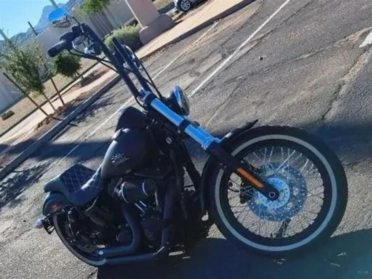 Harley-Davidson FXDB103  2015