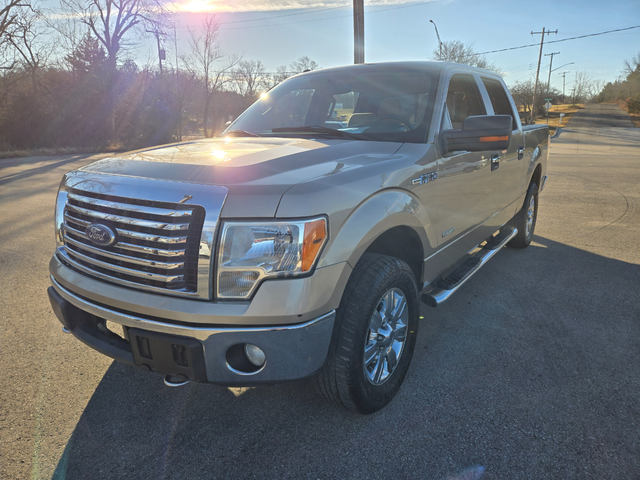 Ford F-150 4WD SuperCrew 145" Platinum 2012