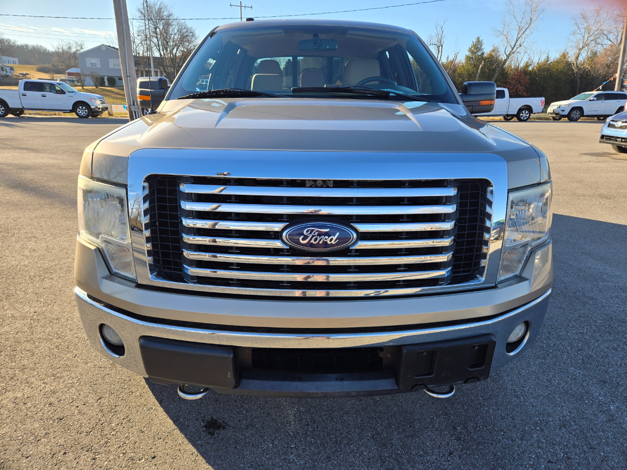 Ford F-150 4WD SuperCrew 145" Platinum 2012