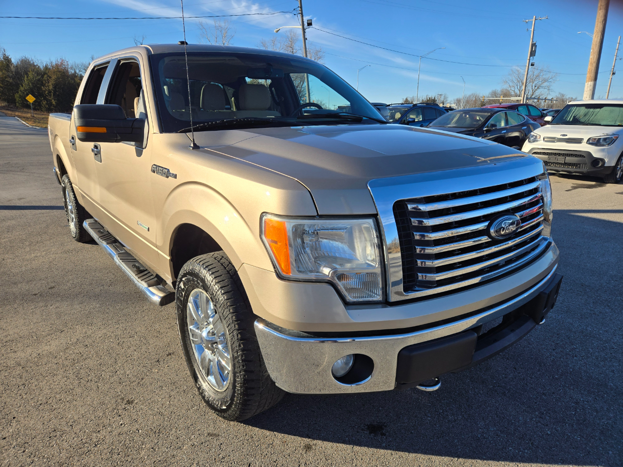 Ford F-150 4WD SuperCrew 145" Platinum 2012