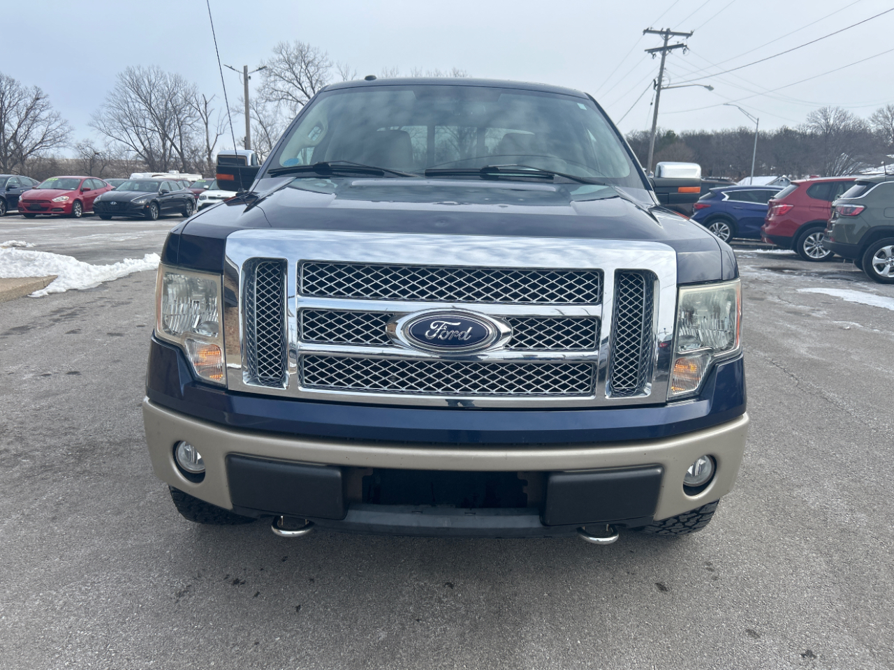 Ford F-150 AWD SuperCrew 145" Harley-Davidson 2010