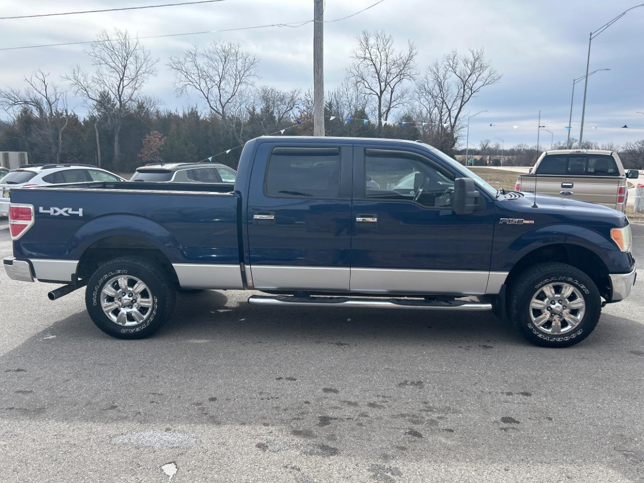 Ford F-150 AWD SuperCrew 145" Harley-Davidson 2010