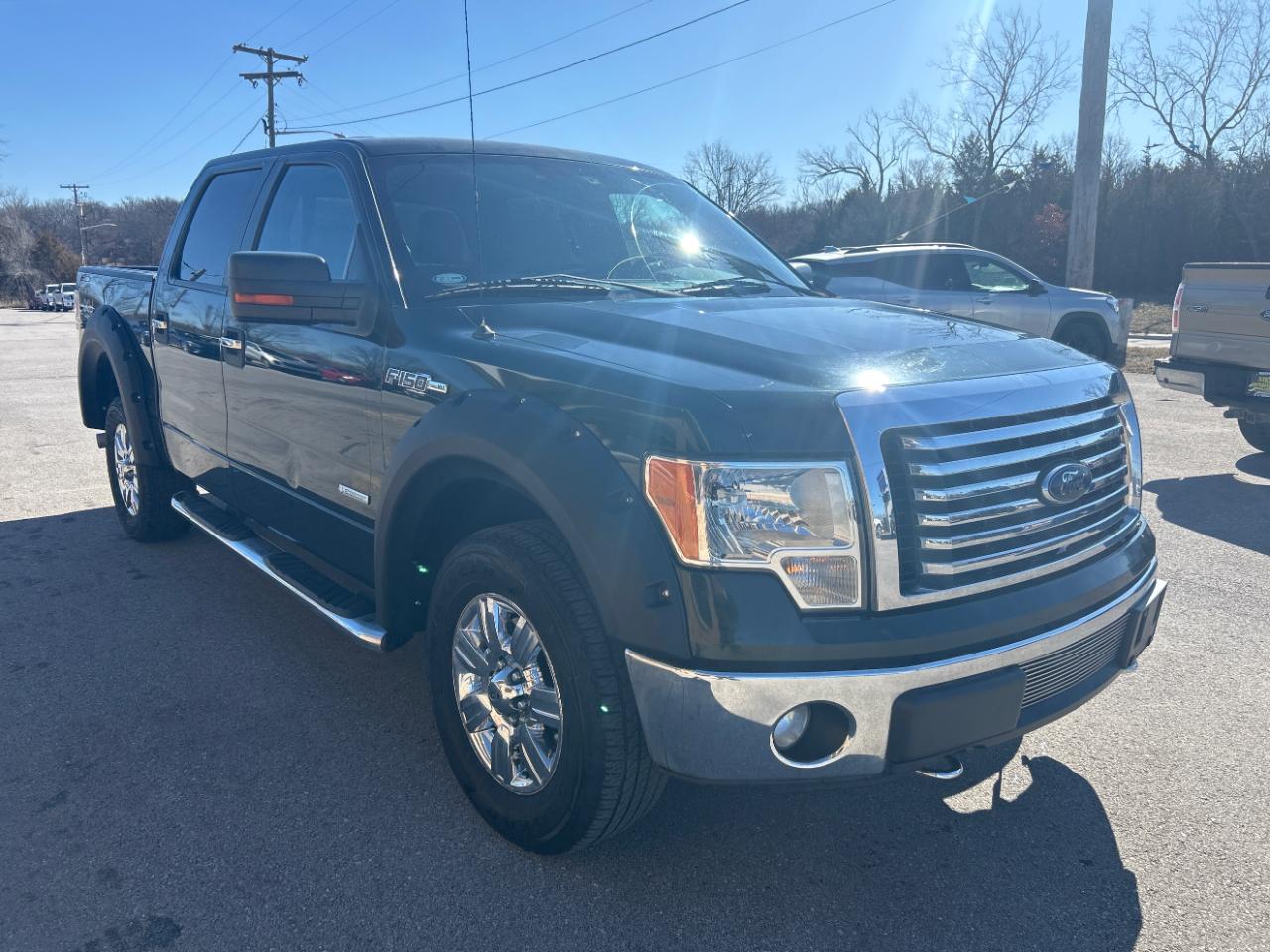 Ford F-150 4WD SuperCrew 145" Platinum 2012