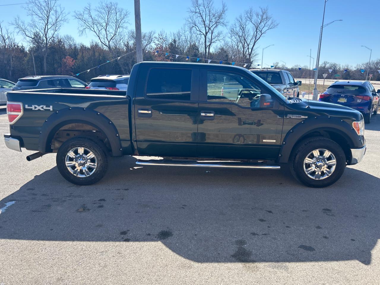 Ford F-150 4WD SuperCrew 145" Platinum 2012