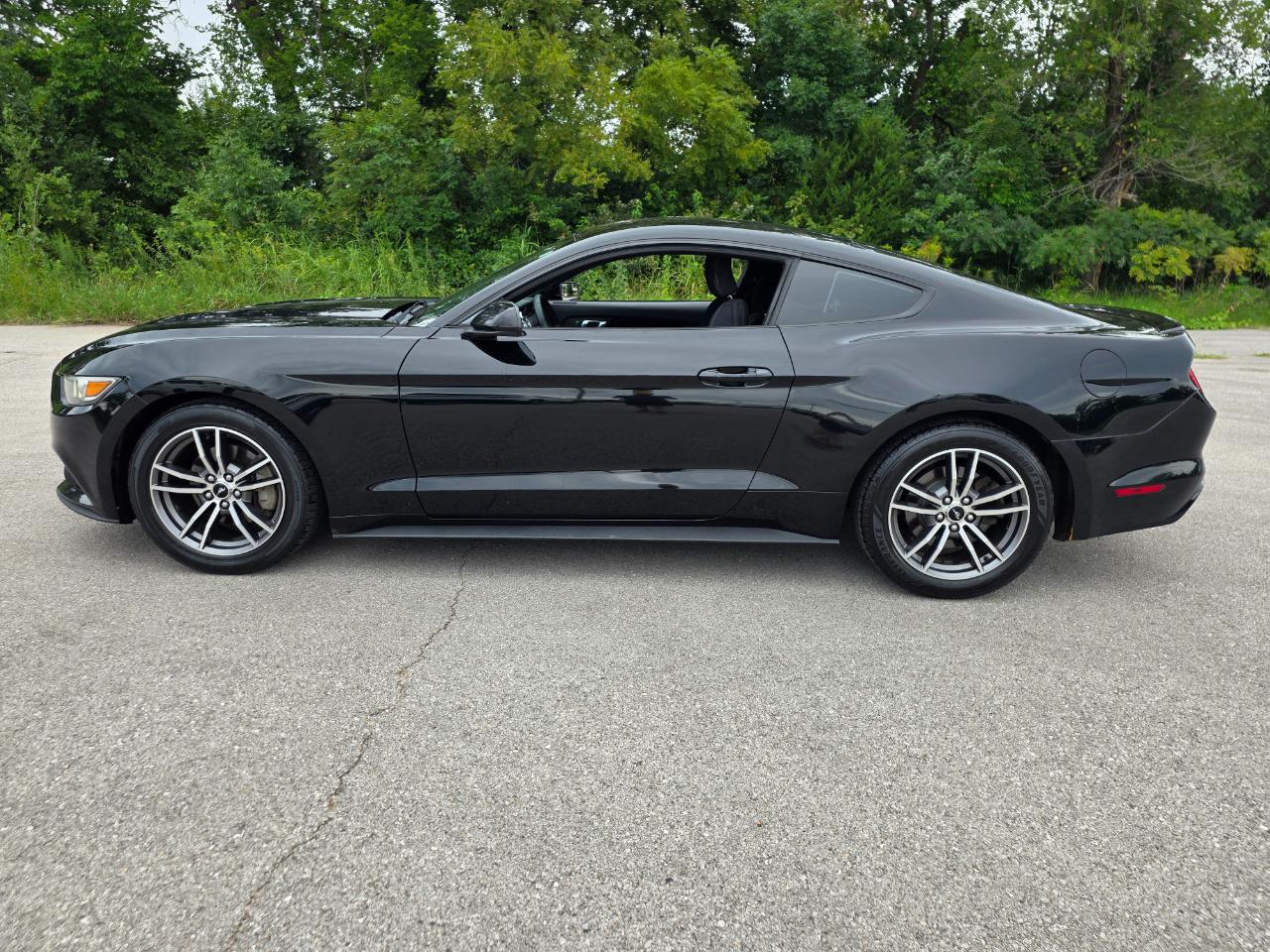Ford Mustang EcoBoost Fastback 2017