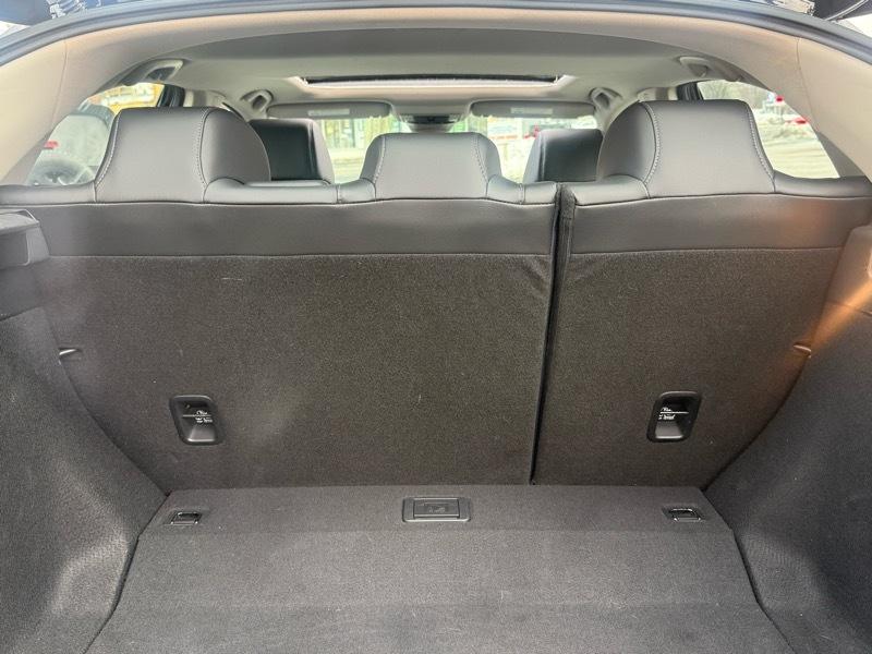 Honda Civic EX-L Hatchback 2023