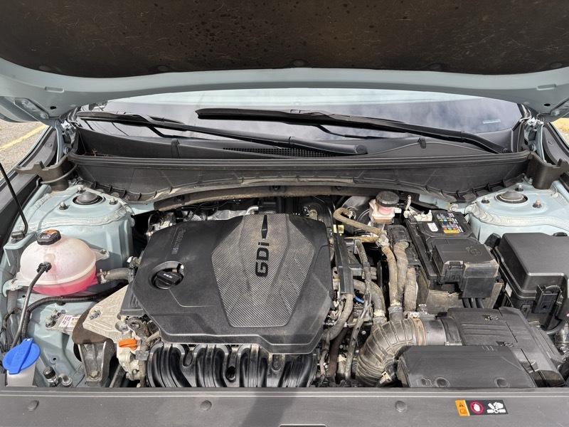 Hyundai Santa Cruz SEL Activity Crew Cab AWD 2024