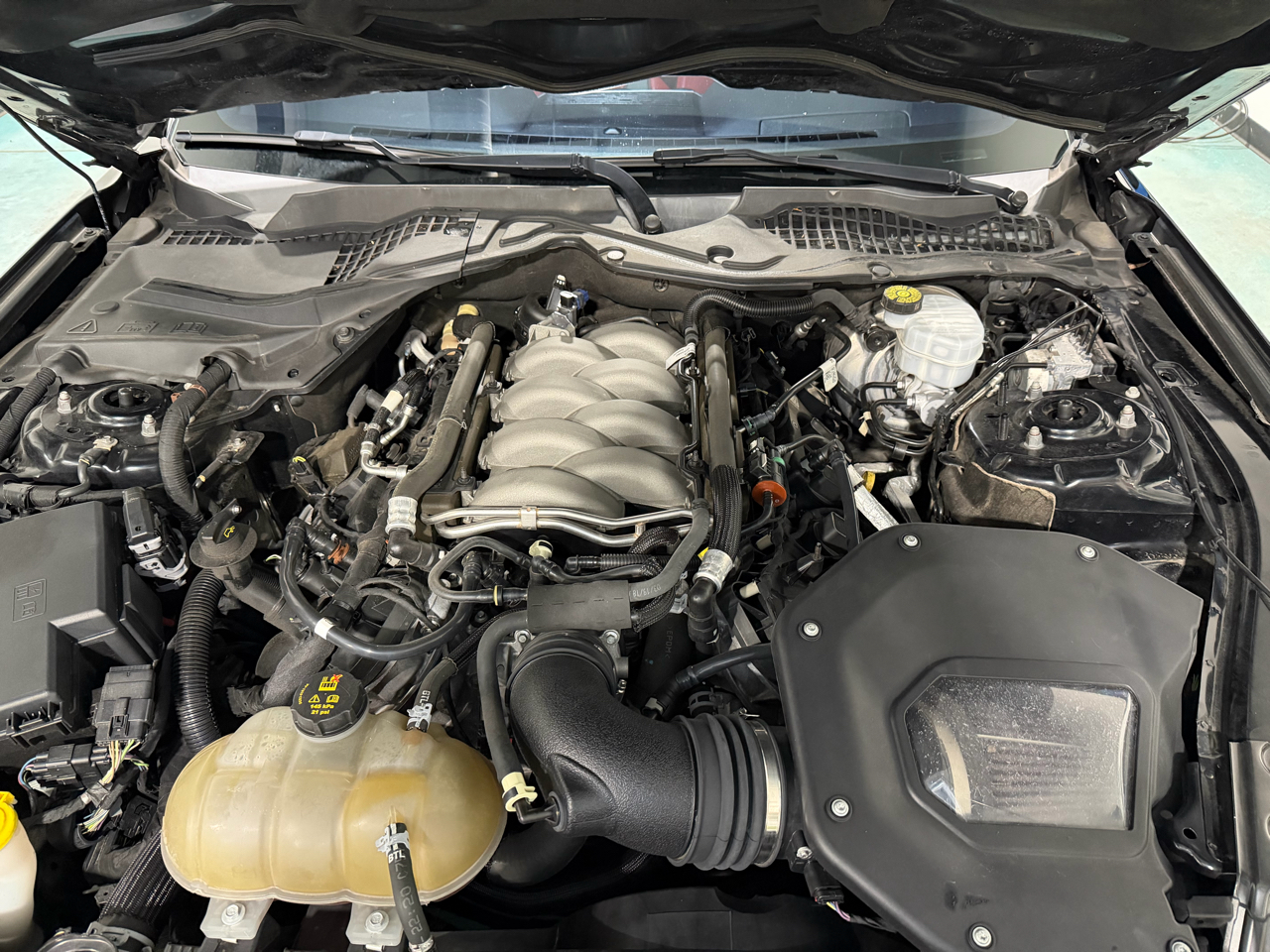 Ford Mustang GT Fastback 2018