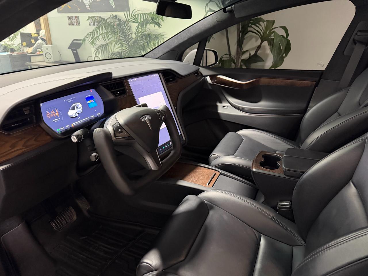 Tesla Model X 100D AWD 2019