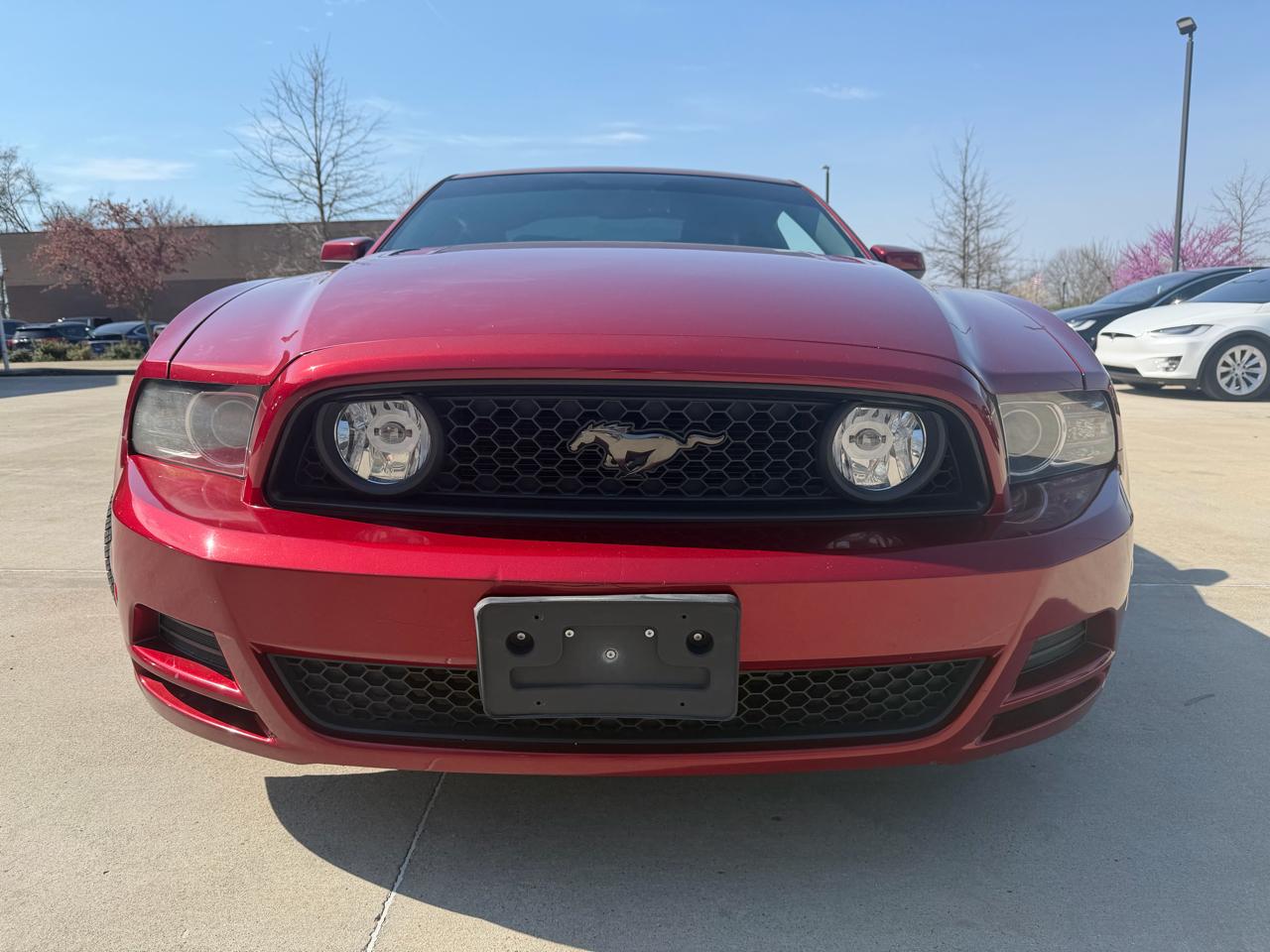 Ford Mustang 2dr Cpe GT 2014
