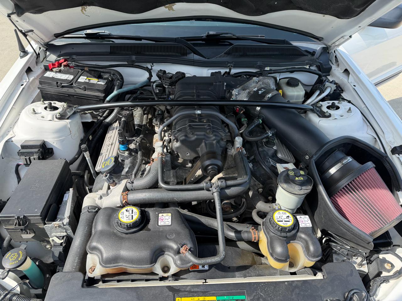 Ford Mustang 2dr Cpe Shelby GT500 2008