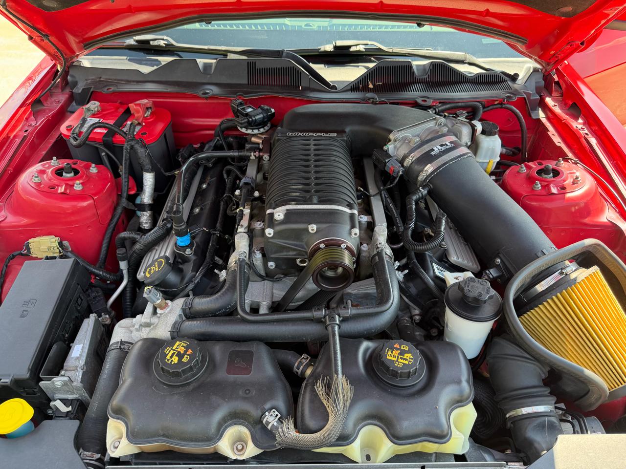 Ford Mustang 2dr Cpe Shelby GT500 2010