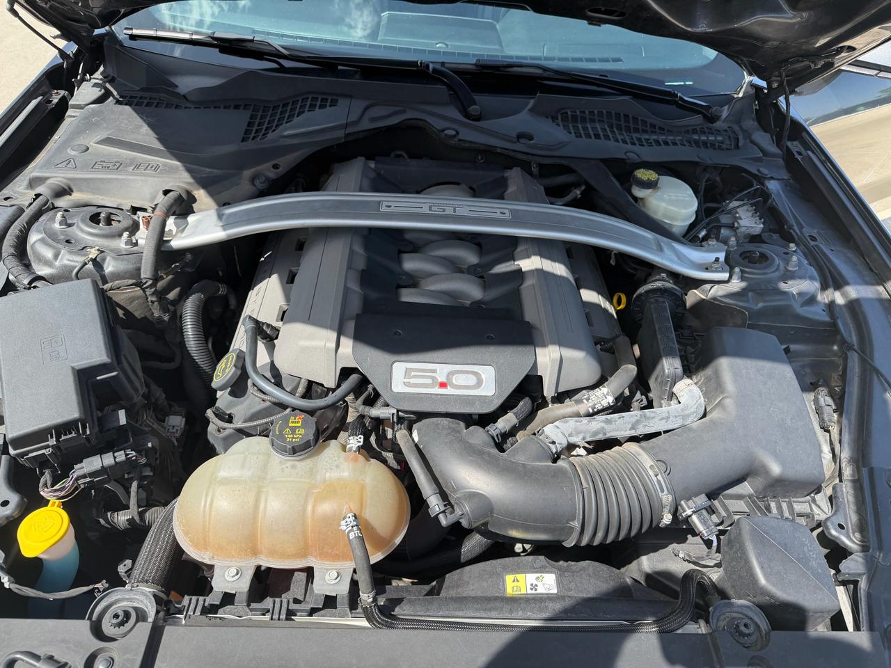 Ford Mustang 2dr Cpe GT Premium 2016