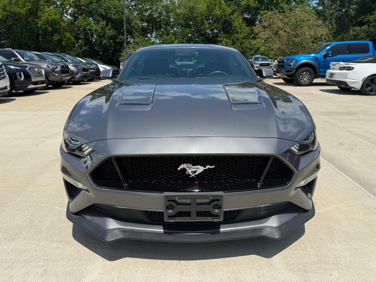 Ford Mustang GT Fastback 2021