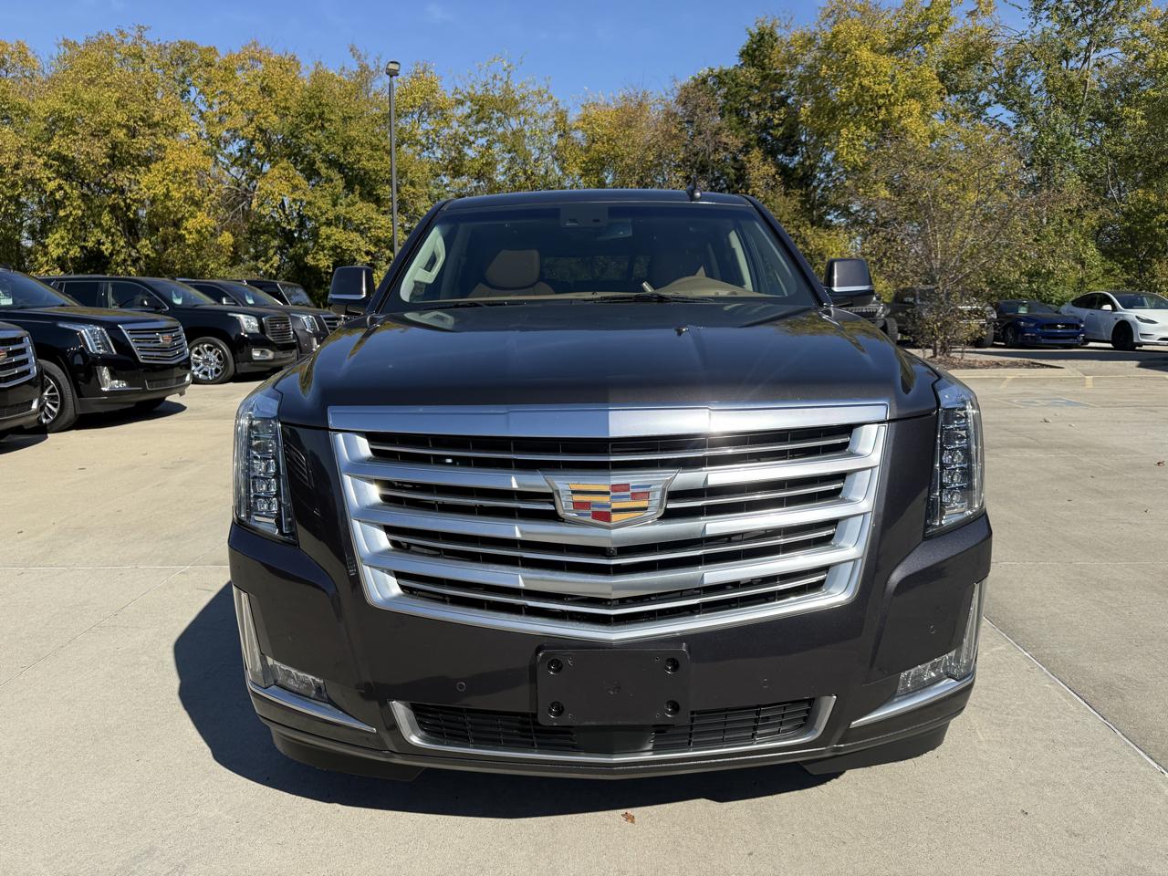 Cadillac Escalade 4WD 4dr Platinum 2016