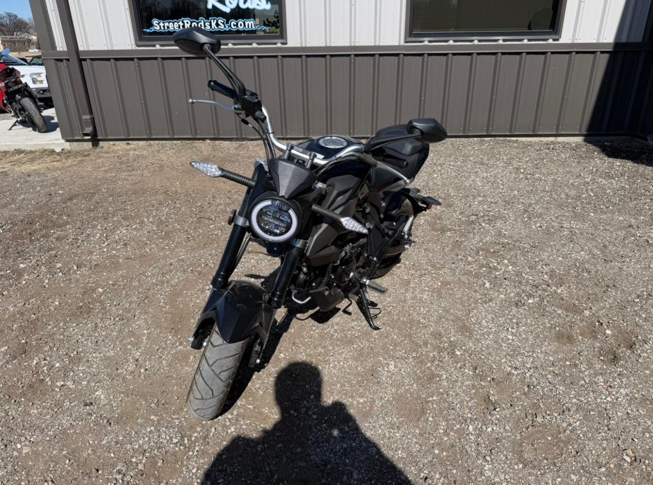 Wolf Brand Scooters Jet  2022