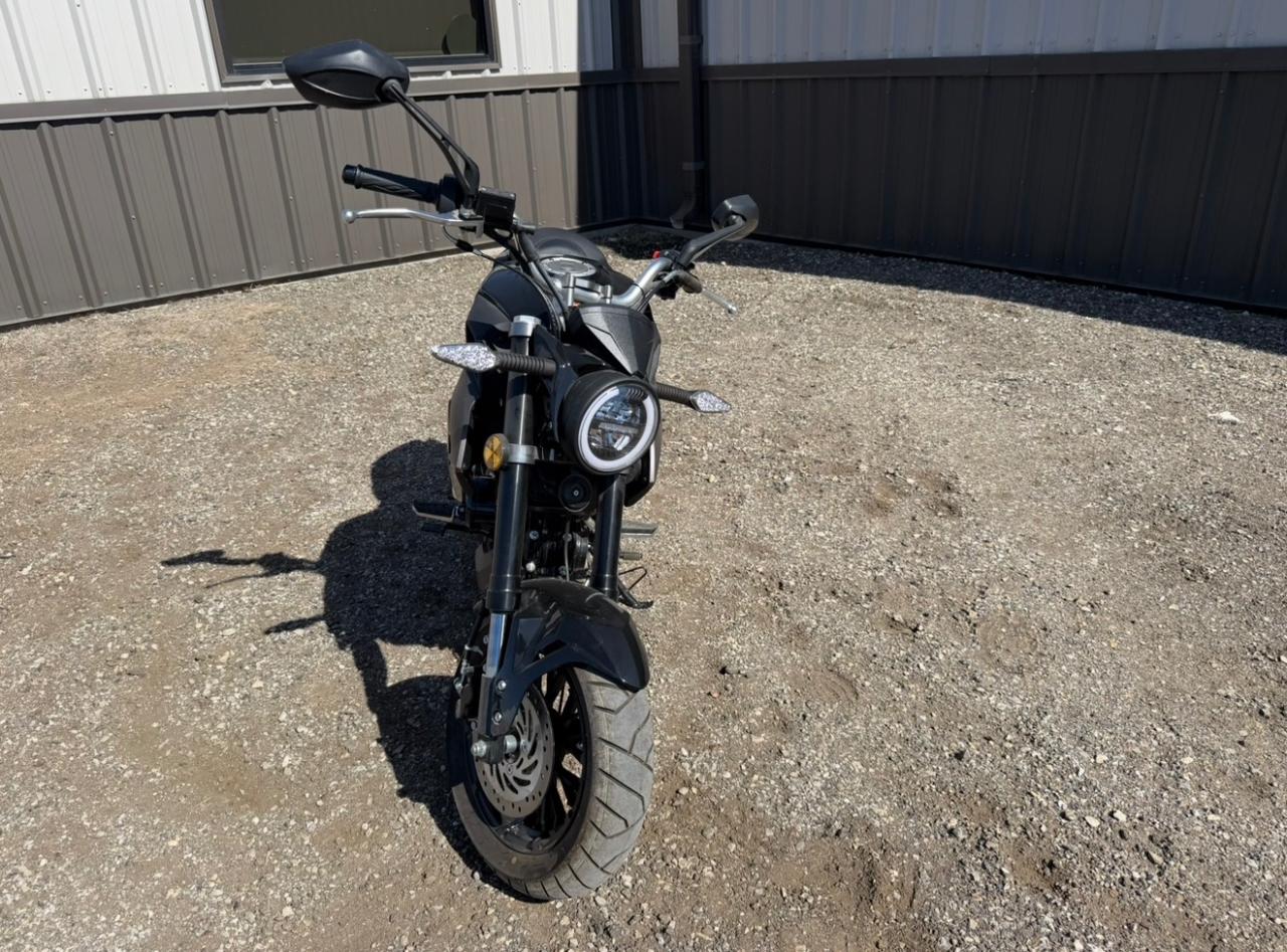 Wolf Brand Scooters Jet  2022