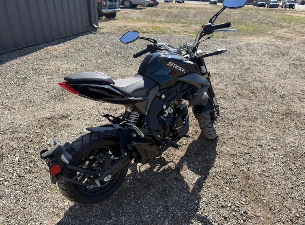 Wolf Brand Scooters Jet  2022