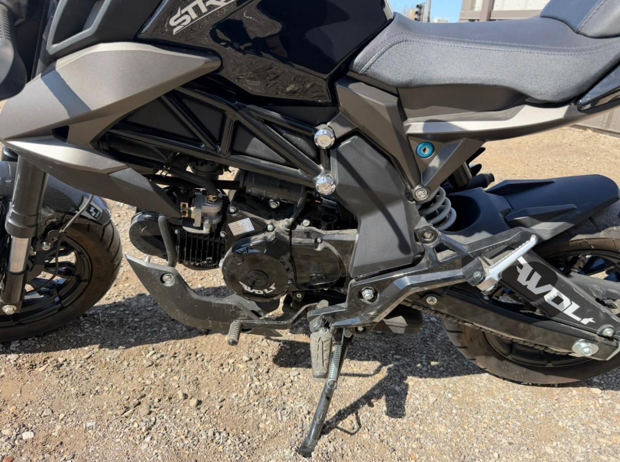 Wolf Brand Scooters Jet  2022