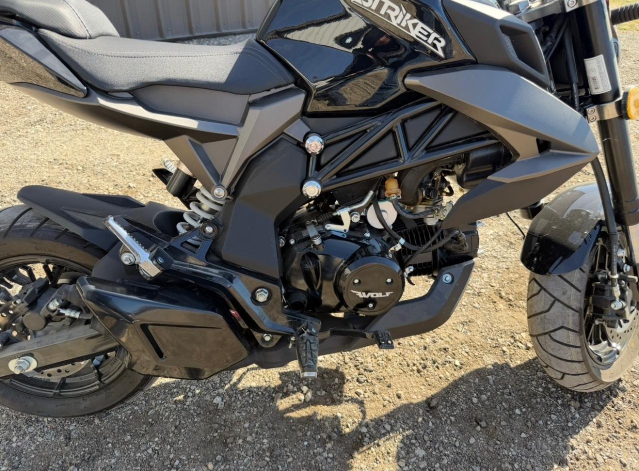 Wolf Brand Scooters Jet  2022