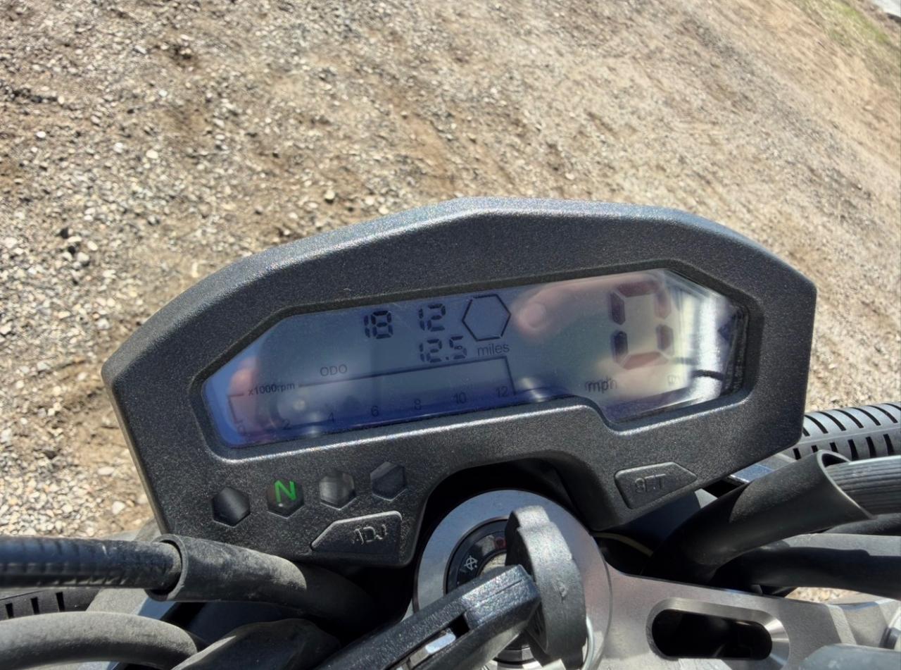 Wolf Brand Scooters Jet  2022